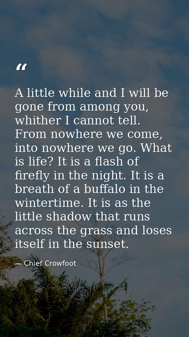 A little while and I will be gone from among you, whither I cannot tell. From nowhere we come, into nowhere we go. What  — Chief Crowfoot