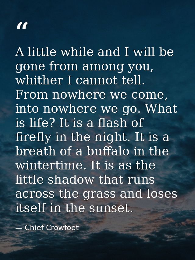 A little while and I will be gone from among you, whither I cannot tell. From nowhere we come, into nowhere we go. What  — Chief Crowfoot
