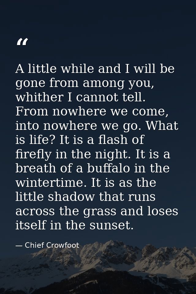 A little while and I will be gone from among you, whither I cannot tell. From nowhere we come, into nowhere we go. What  — Chief Crowfoot