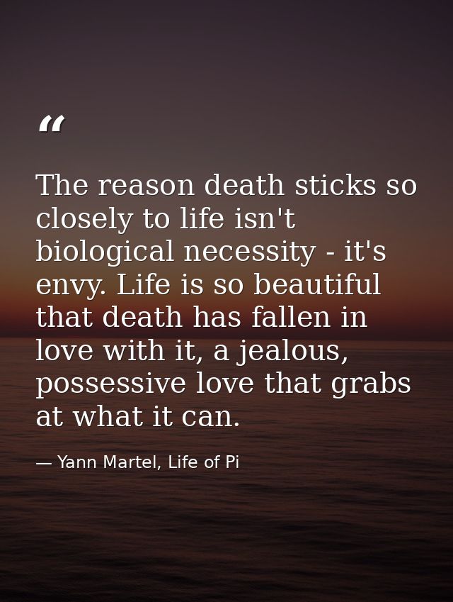 The reason death sticks so closely to life isn't biological necessity - it's envy. Life is so beautiful that death has f — Yann Martel, Life of Pi