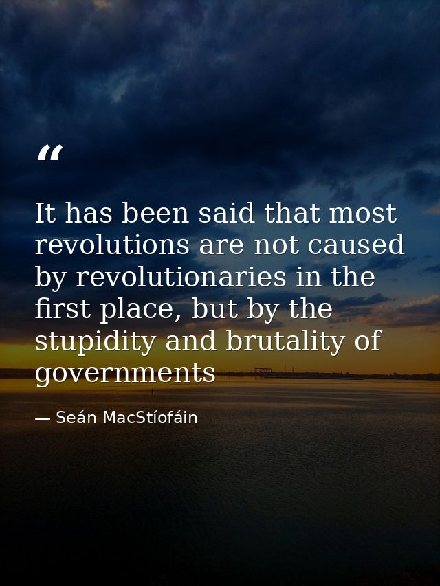 It has been said that most revolutions are not caused by revolutionaries in the first place, but by the stupidity and br — Seán MacStíofáin