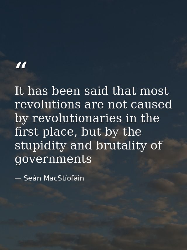 It has been said that most revolutions are not caused by revolutionaries in the first place, but by the stupidity and br — Seán MacStíofáin