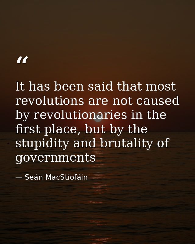 It has been said that most revolutions are not caused by revolutionaries in the first place, but by the stupidity and br — Seán MacStíofáin