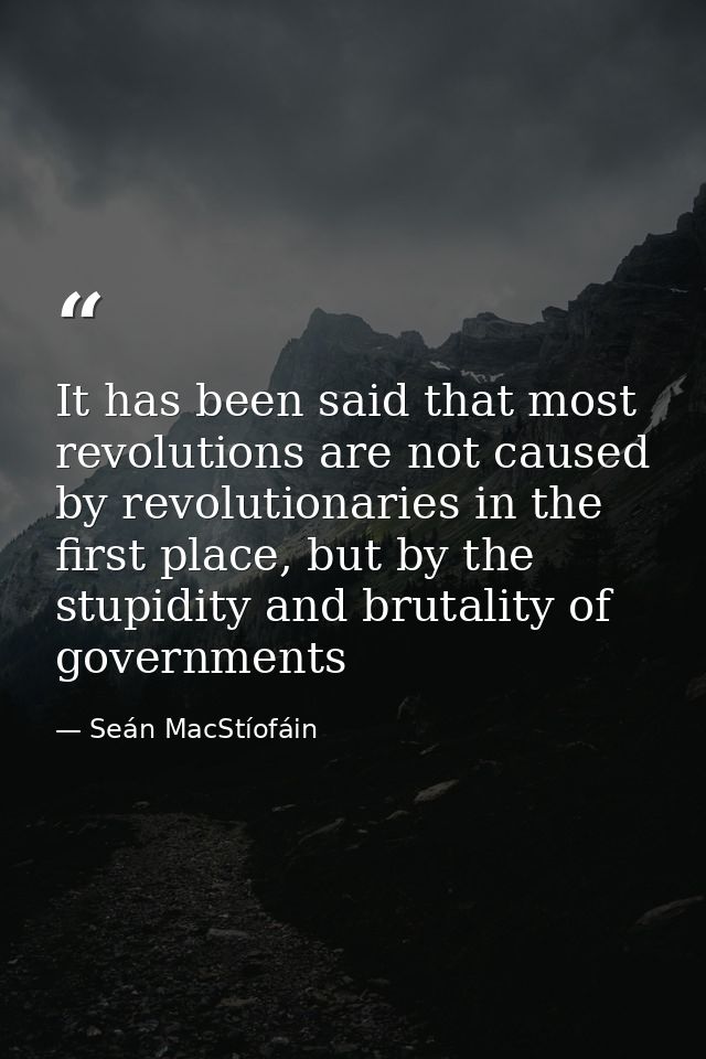 It has been said that most revolutions are not caused by revolutionaries in the first place, but by the stupidity and br — Seán MacStíofáin