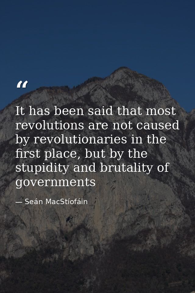 It has been said that most revolutions are not caused by revolutionaries in the first place, but by the stupidity and br — Seán MacStíofáin