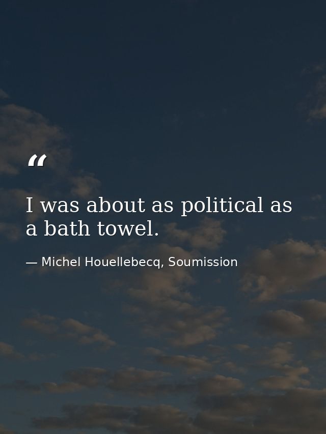 I was about as political as a bath towel. — Michel Houellebecq, Soumission
