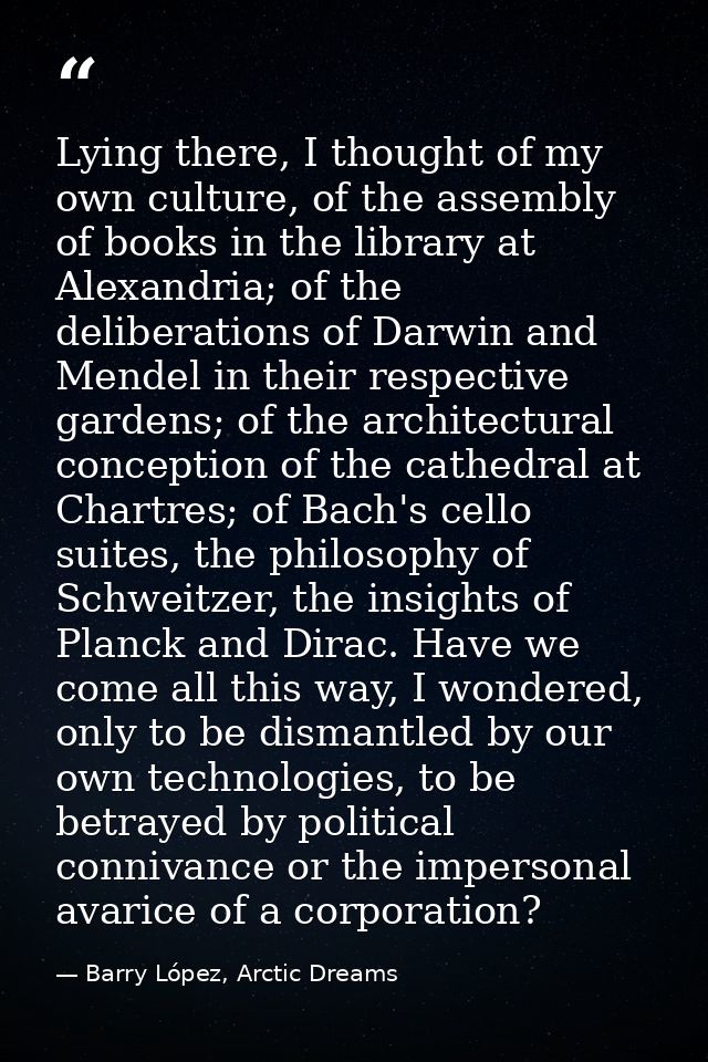Lying there, I thought of my own culture, of the assembly of books in the library at Alexandria; of the deliberations of — Barry López, Arctic Dreams