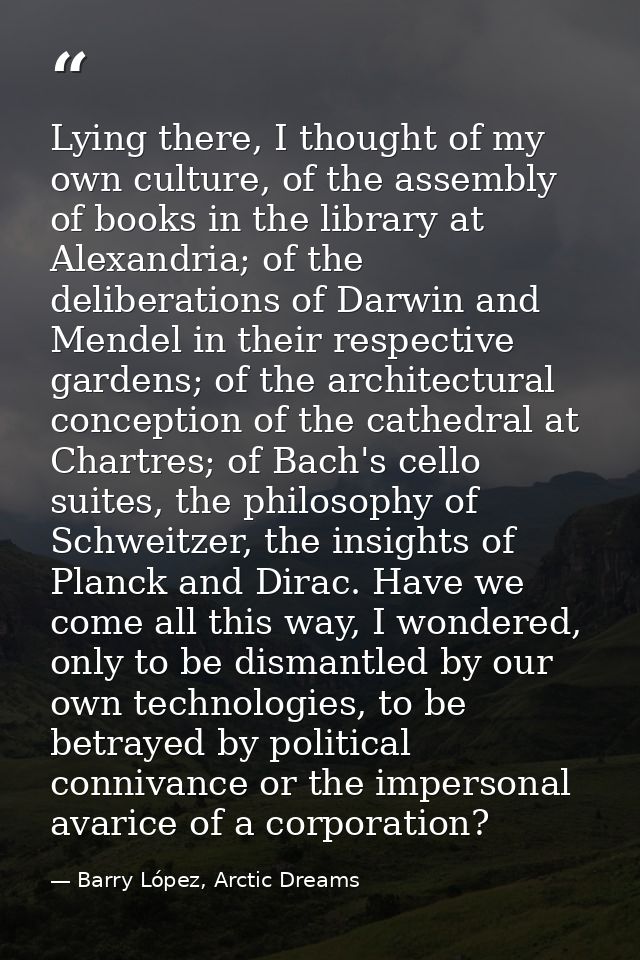 Lying there, I thought of my own culture, of the assembly of books in the library at Alexandria; of the deliberations of — Barry López, Arctic Dreams