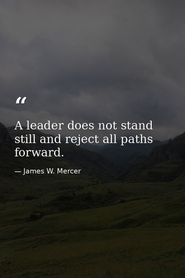 A leader does not stand still and reject all paths forward. — James W. Mercer