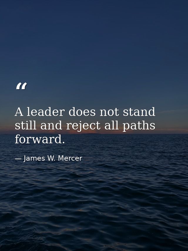 A leader does not stand still and reject all paths forward. — James W. Mercer
