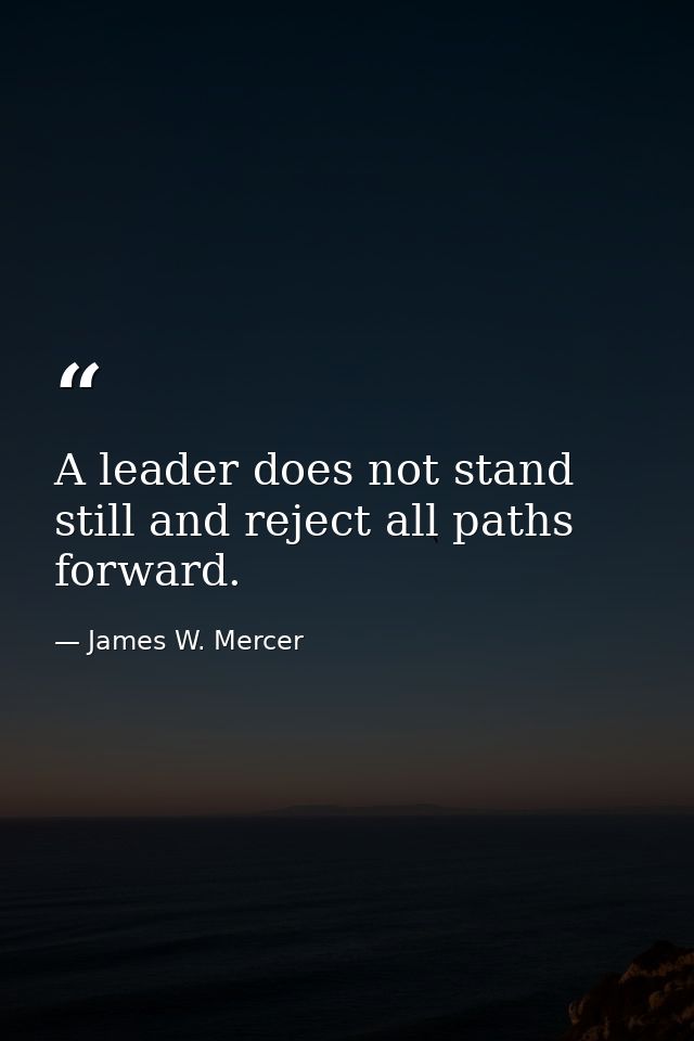 A leader does not stand still and reject all paths forward. — James W. Mercer