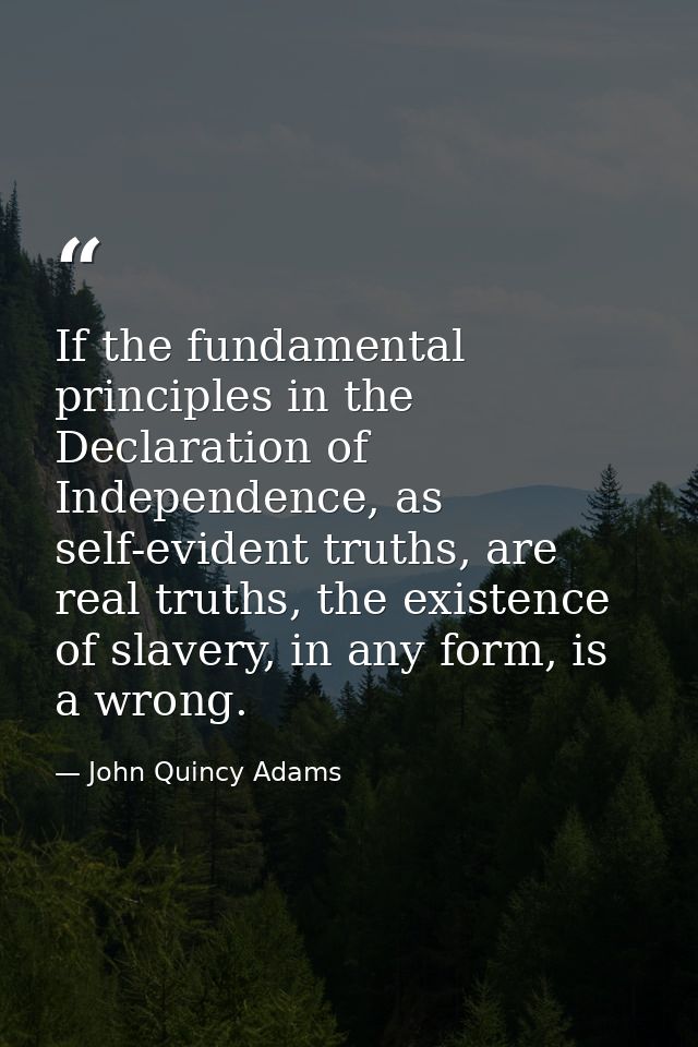 If the fundamental principles in the Declaration of Independence, as self-evident truths, are real truths, the existence — John Quincy Adams