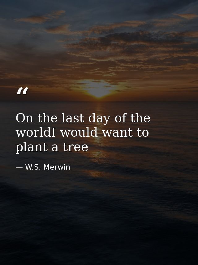 On the last day of the worldI would want to plant a tree — W.S. Merwin