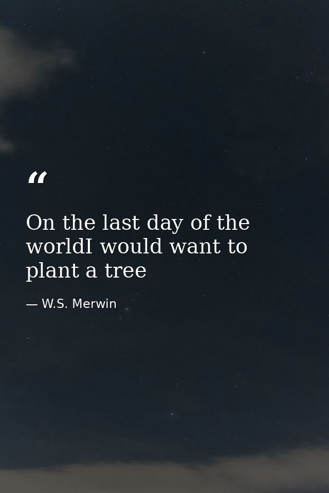 On the last day of the worldI would want to plant a tree — W.S. Merwin