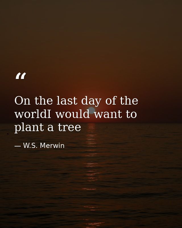 On the last day of the worldI would want to plant a tree — W.S. Merwin
