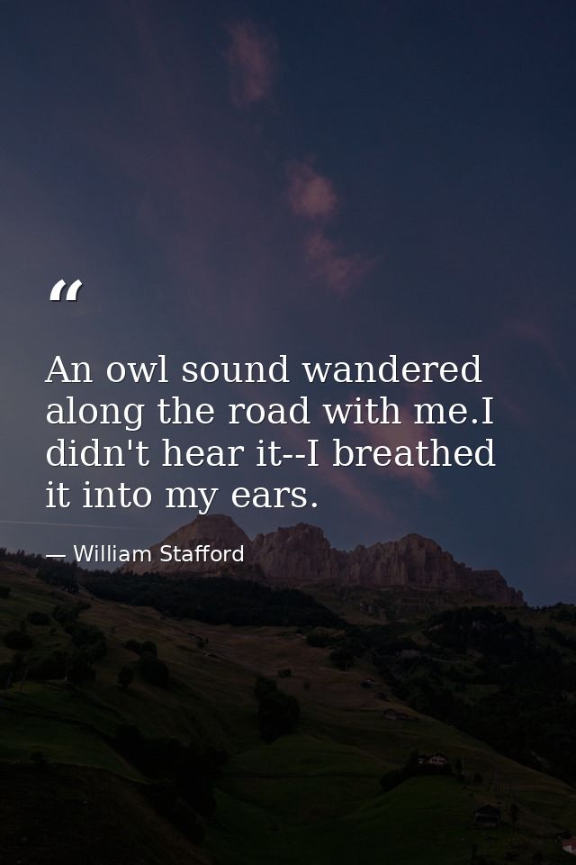 An owl sound wandered along the road with me.I didn't hear it--I breathed it into my ears. — William Stafford