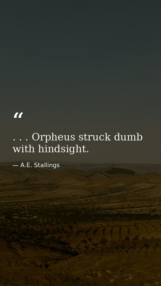 . . . Orpheus struck dumb with hindsight. — A.E. Stallings