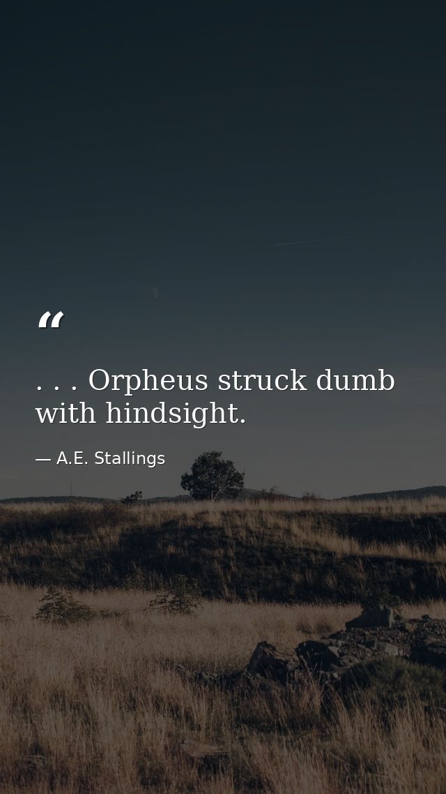 . . . Orpheus struck dumb with hindsight. — A.E. Stallings