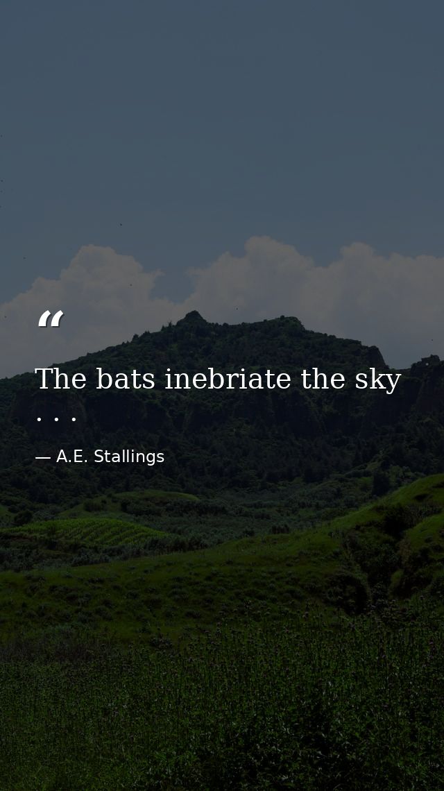 The bats inebriate the sky . . . — A.E. Stallings