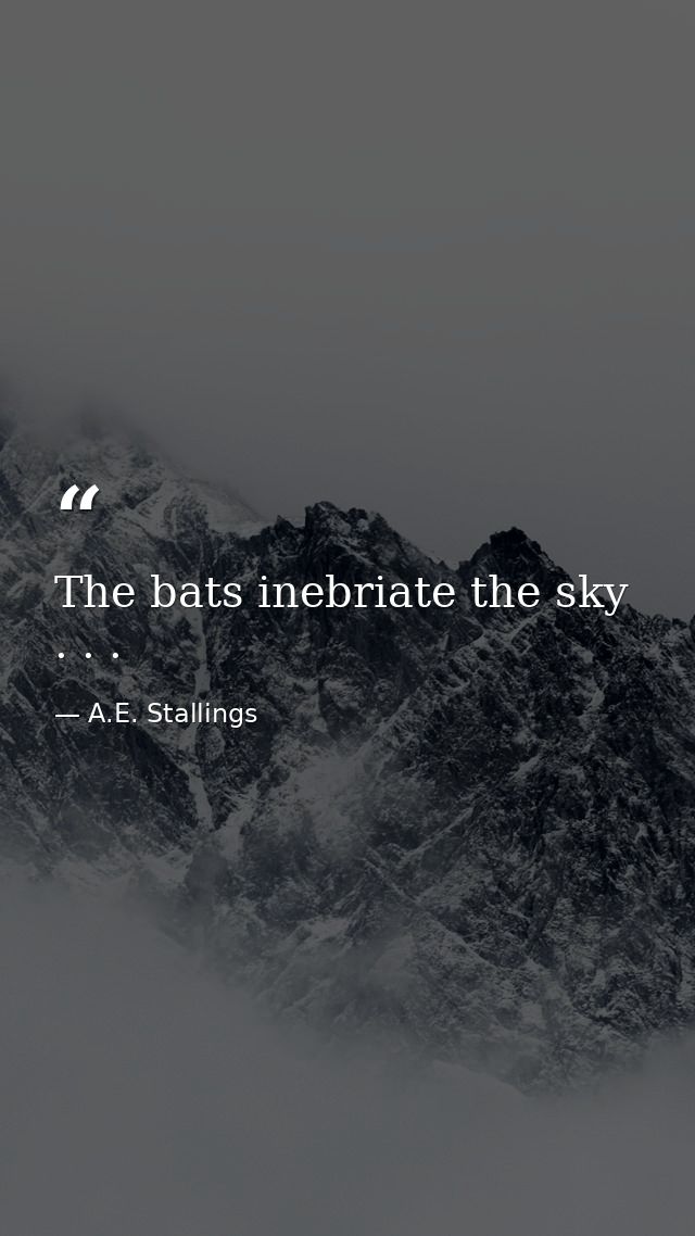 The bats inebriate the sky . . . — A.E. Stallings
