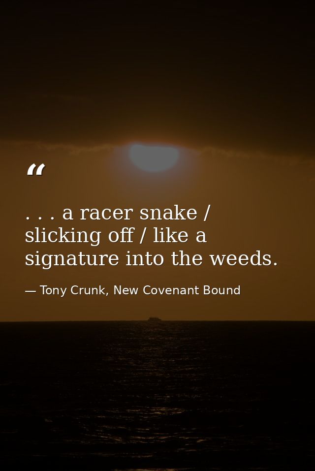 . . . a racer snake / slicking off / like a signature into the weeds. — Tony Crunk, New Covenant Bound
