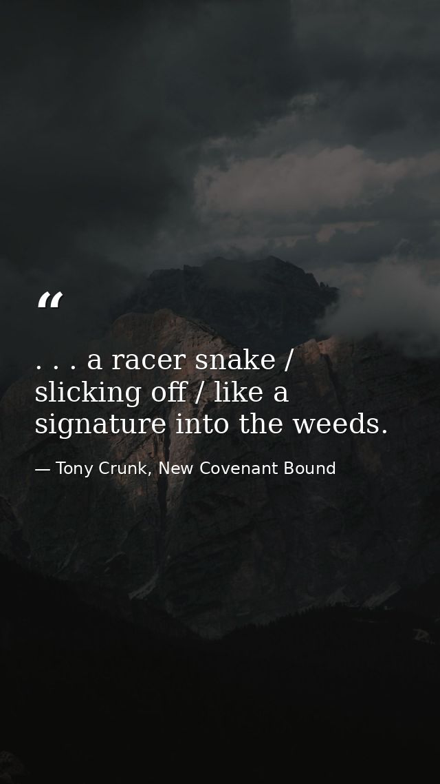 . . . a racer snake / slicking off / like a signature into the weeds. — Tony Crunk, New Covenant Bound