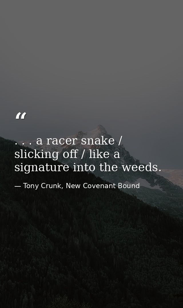 . . . a racer snake / slicking off / like a signature into the weeds. — Tony Crunk, New Covenant Bound