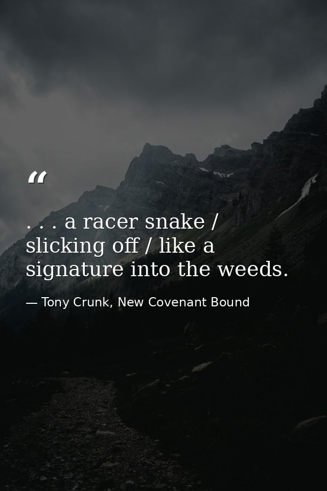 . . . a racer snake / slicking off / like a signature into the weeds. — Tony Crunk, New Covenant Bound