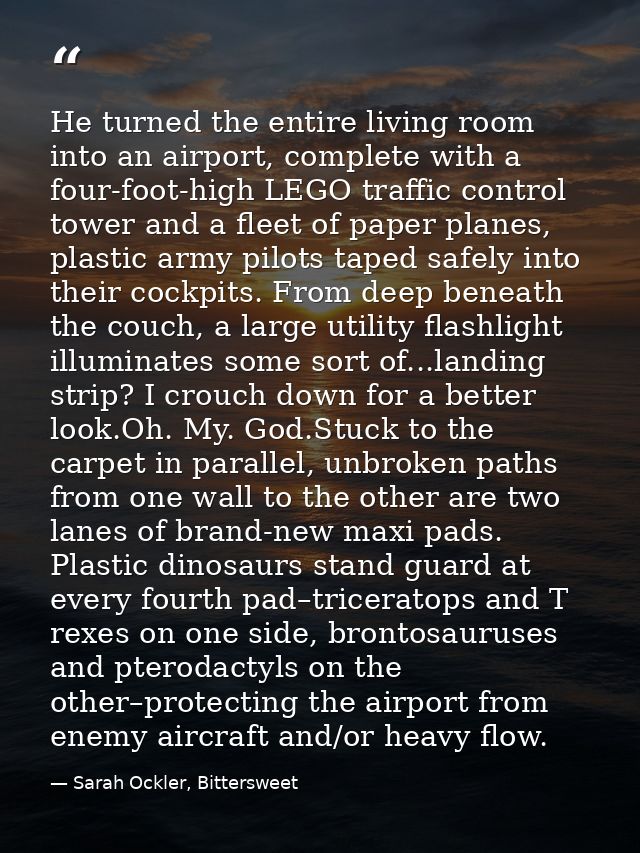 He turned the entire living room into an airport, complete with a four-foot-high LEGO traffic control tower and a fleet  — Sarah Ockler, Bittersweet