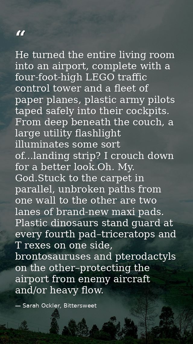 He turned the entire living room into an airport, complete with a four-foot-high LEGO traffic control tower and a fleet  — Sarah Ockler, Bittersweet