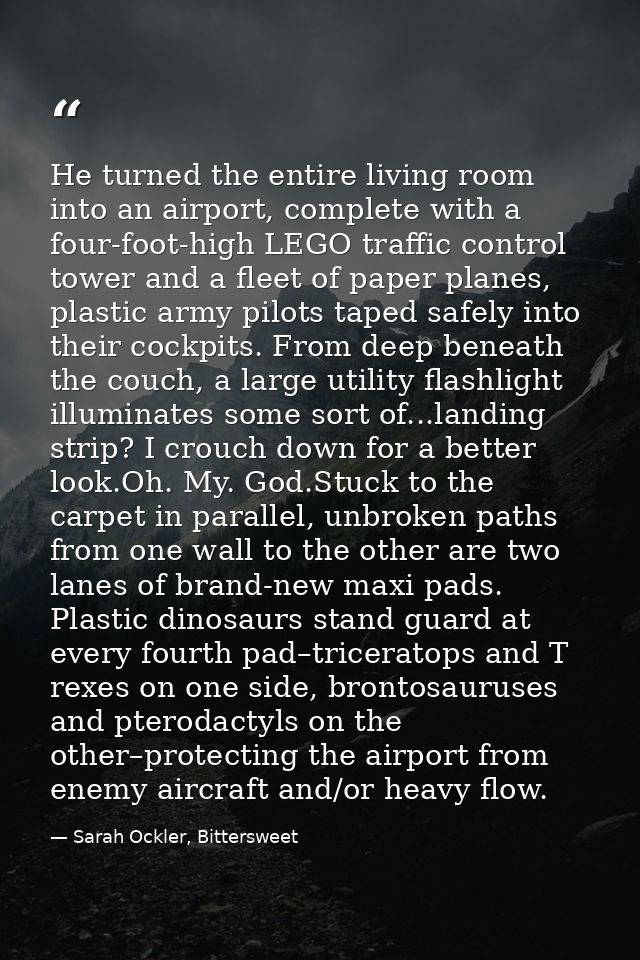 He turned the entire living room into an airport, complete with a four-foot-high LEGO traffic control tower and a fleet  — Sarah Ockler, Bittersweet