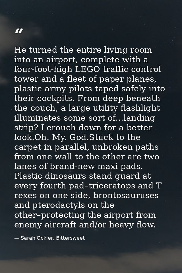 He turned the entire living room into an airport, complete with a four-foot-high LEGO traffic control tower and a fleet  — Sarah Ockler, Bittersweet