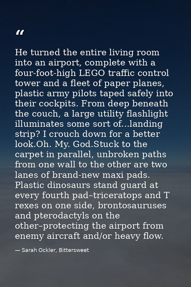 He turned the entire living room into an airport, complete with a four-foot-high LEGO traffic control tower and a fleet  — Sarah Ockler, Bittersweet