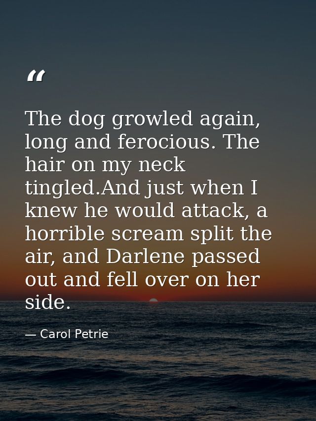 The dog growled again, long and ferocious. The hair on my neck tingled.And just when I knew he would attack, a horrible  — Carol Petrie