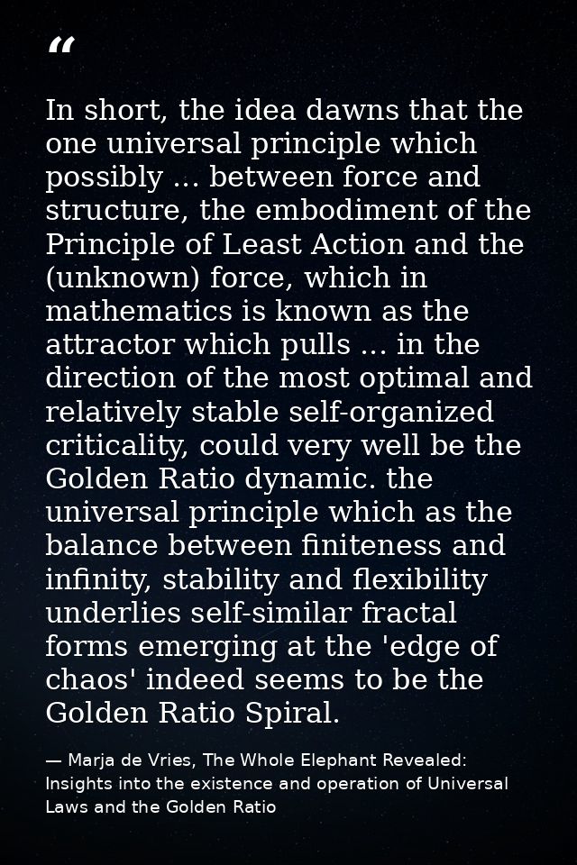 In short, the idea dawns that the one universal principle which possibly ... between force and structure, the embodiment — Marja de Vries, The Whole Elephant Revealed: Insights into the existence and operation of Universal Laws and the Golden Ratio