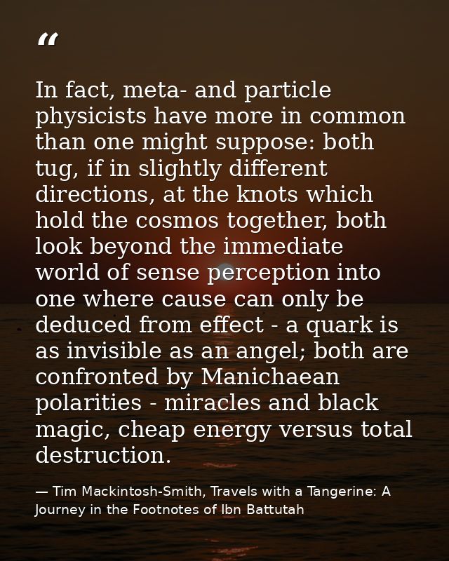In fact, meta- and particle physicists have more in common than one might suppose: both tug, if in slightly different di — Tim Mackintosh-Smith, Travels with a Tangerine: A Journey in the Footnotes of Ibn Battutah