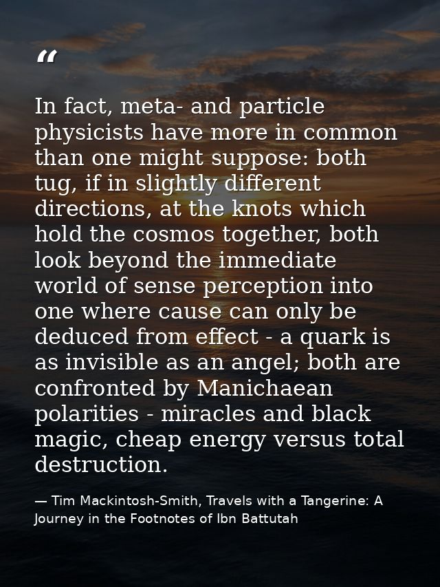 In fact, meta- and particle physicists have more in common than one might suppose: both tug, if in slightly different di — Tim Mackintosh-Smith, Travels with a Tangerine: A Journey in the Footnotes of Ibn Battutah
