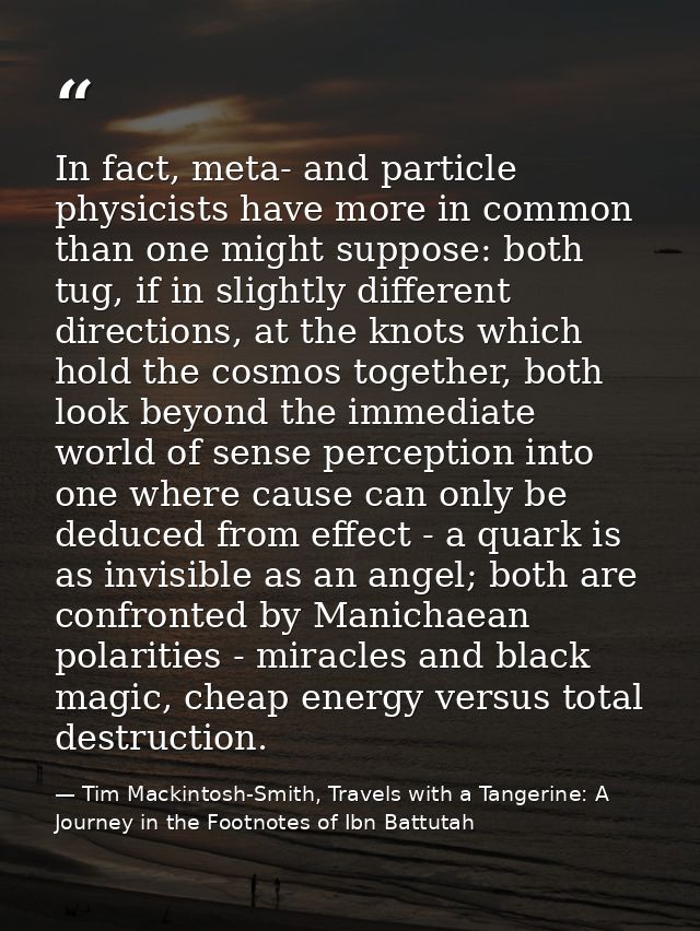 In fact, meta- and particle physicists have more in common than one might suppose: both tug, if in slightly different di — Tim Mackintosh-Smith, Travels with a Tangerine: A Journey in the Footnotes of Ibn Battutah