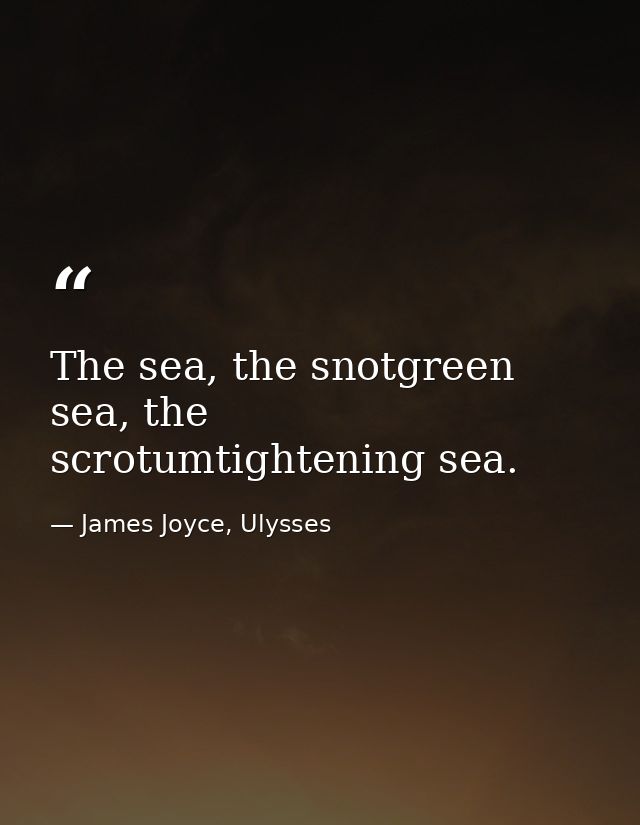 The sea, the snotgreen sea, the scrotumtightening sea. — James Joyce, Ulysses