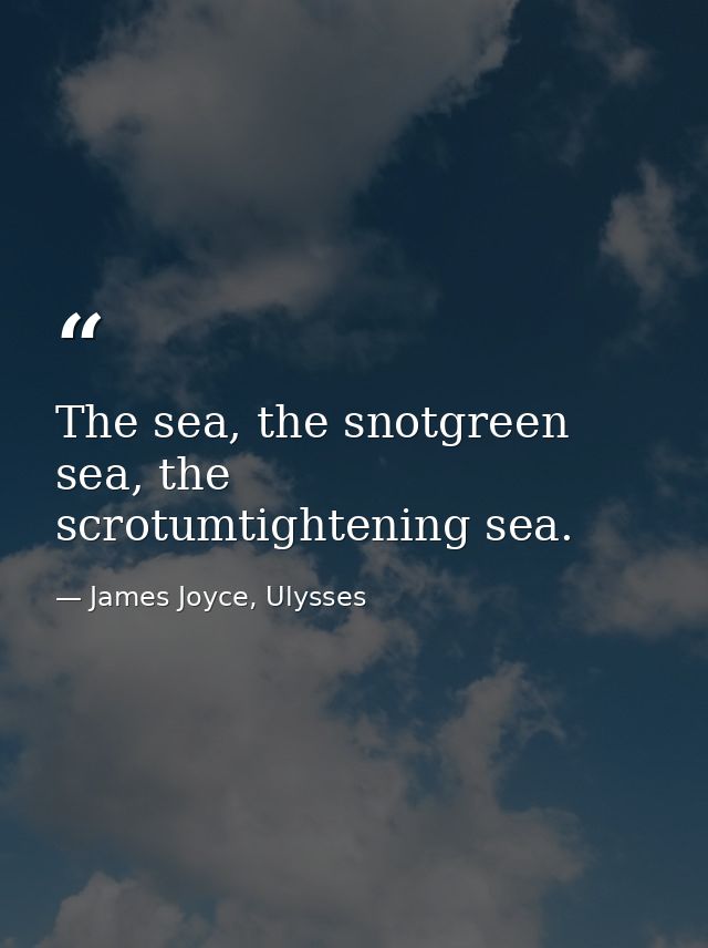 The sea, the snotgreen sea, the scrotumtightening sea. — James Joyce, Ulysses
