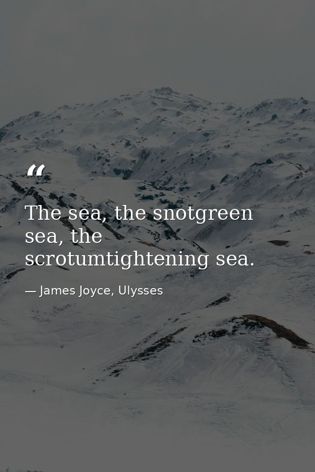 The sea, the snotgreen sea, the scrotumtightening sea. — James Joyce, Ulysses