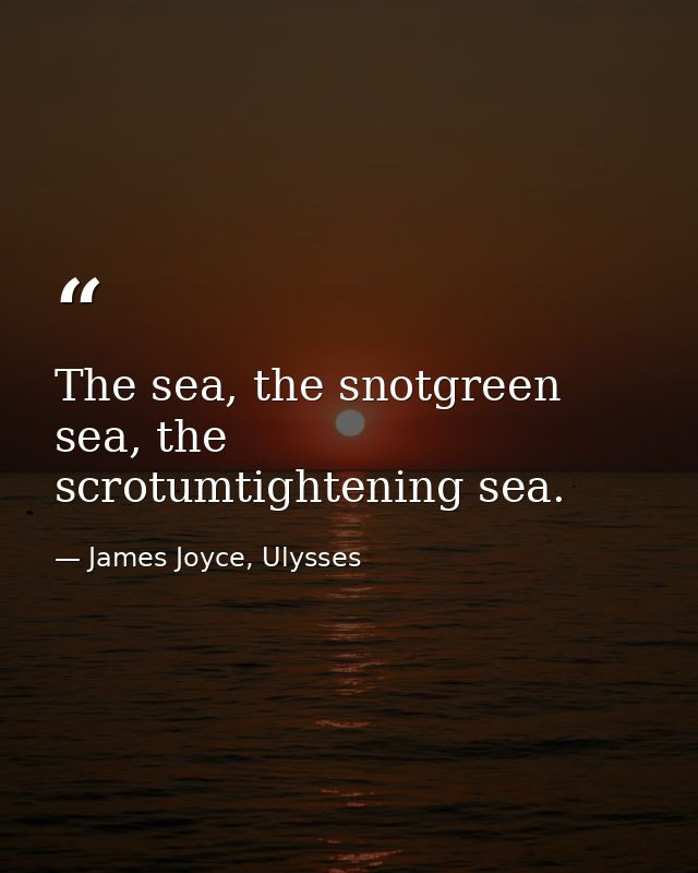 The sea, the snotgreen sea, the scrotumtightening sea. — James Joyce, Ulysses