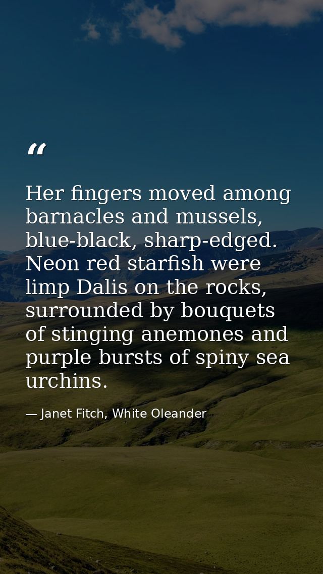 Her fingers moved among barnacles and mussels, blue-black, sharp-edged. Neon red starfish were limp Dalis on the rocks,  — Janet Fitch, White Oleander