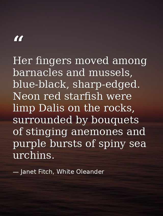 Her fingers moved among barnacles and mussels, blue-black, sharp-edged. Neon red starfish were limp Dalis on the rocks,  — Janet Fitch, White Oleander