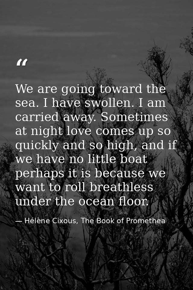 We are going toward the sea. I have swollen. I am carried away. Sometimes at night love comes up so quickly and so high, — Hélène Cixous, The Book of Promethea