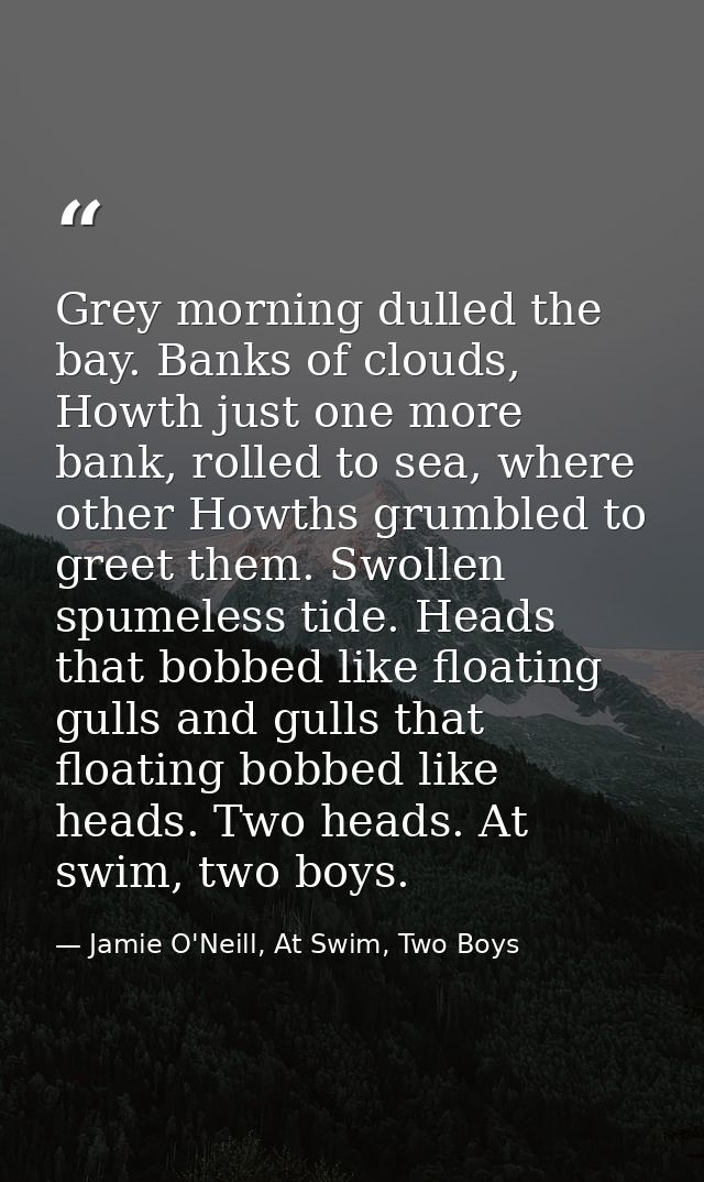 Grey morning dulled the bay. Banks of clouds, Howth just one more bank, rolled to sea, where other Howths grumbled to gr — Jamie O'Neill, At Swim, Two Boys