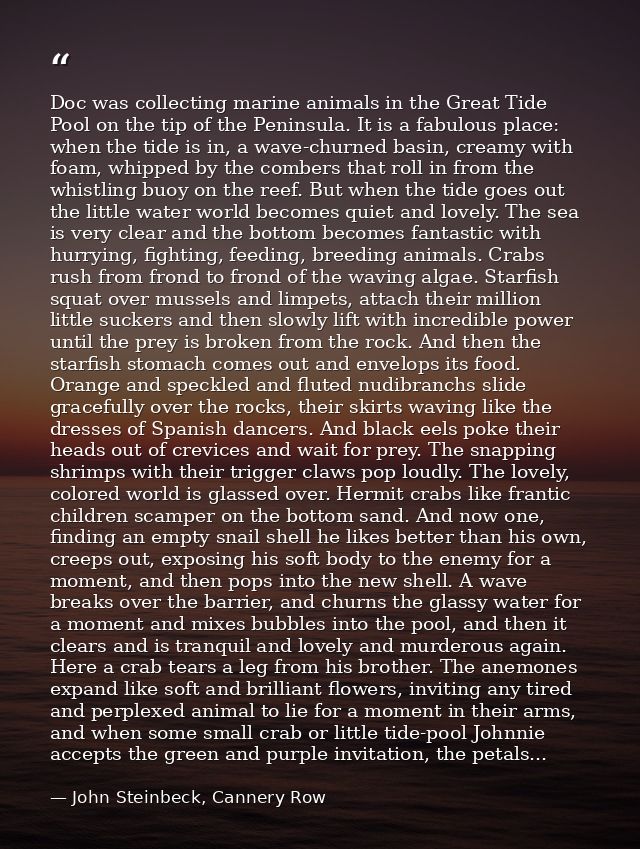 Doc was collecting marine animals in the Great Tide Pool on the tip of the Peninsula. It is a fabulous place: when the t — John Steinbeck, Cannery Row