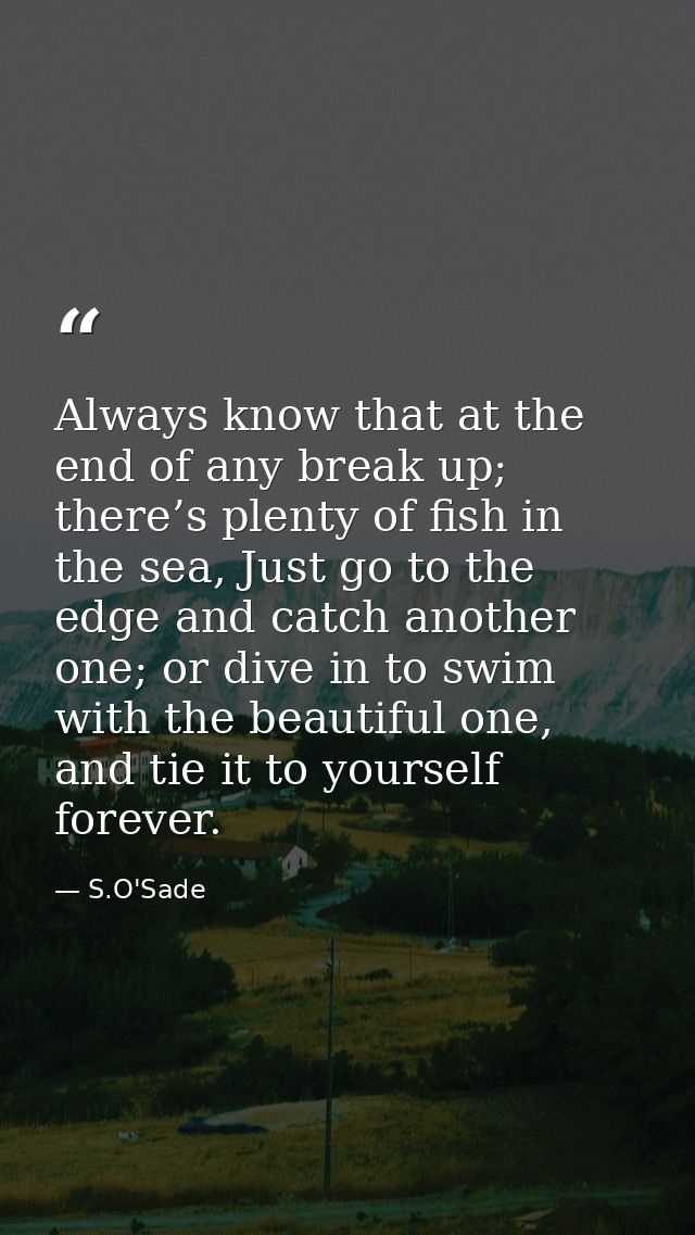 Always know that at the end of any break up; there’s plenty of fish in the sea, Just go to the edge and catch another on — S.O'Sade