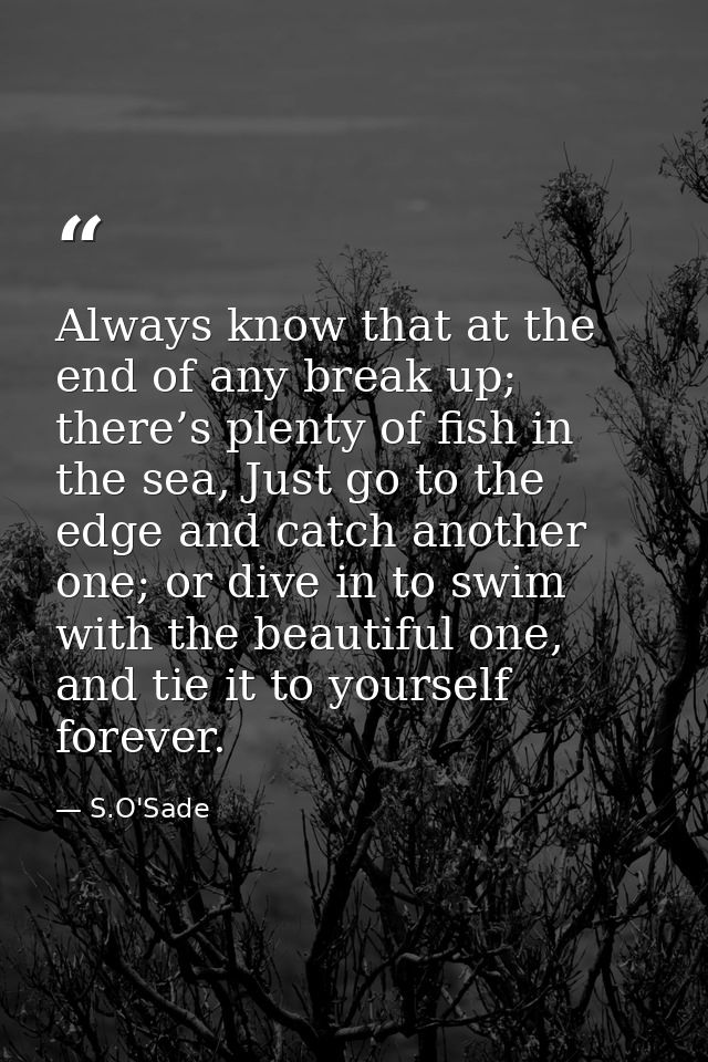 Always know that at the end of any break up; there’s plenty of fish in the sea, Just go to the edge and catch another on — S.O'Sade