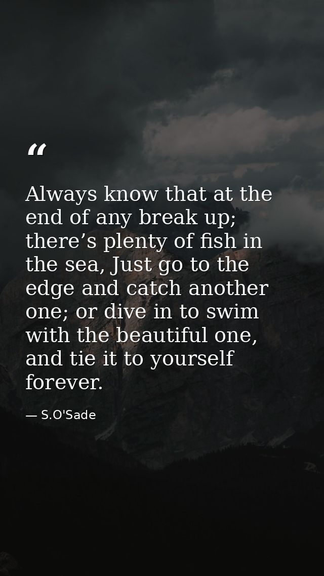 Always know that at the end of any break up; there’s plenty of fish in the sea, Just go to the edge and catch another on — S.O'Sade